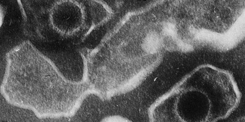 Best of Last Year—The top Medical Xpress articles of 2018